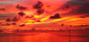 夕阳