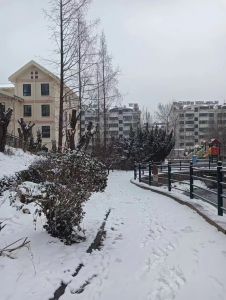 正月十五雪