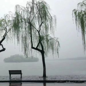 摄影/虚度