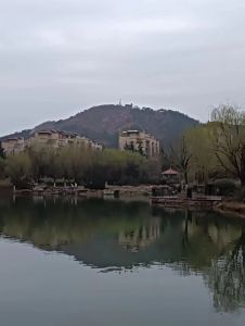 堤柳夹岸