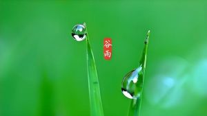 谷生百雨
