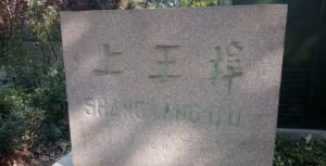 【声明】图源网络，版权归原作者，如涉及版权问题，请及时联系立即删除。