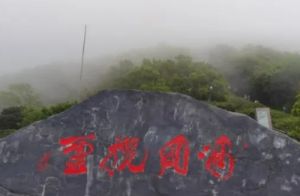 梧桐山