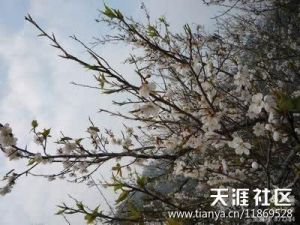 冷气推门透暗香