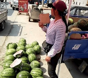 瓜农轶事
