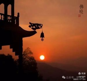 原文图片