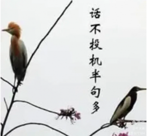 话不投机半句多