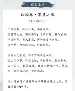 参赛作品