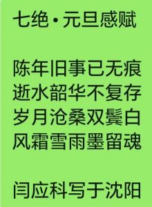 新年感怀