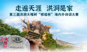 图片资料