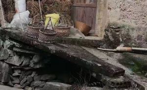 坑里猪舍升屋后邻居免费用正面