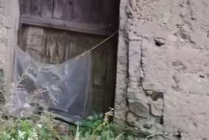 后面