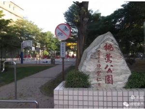 台湾行 （二十二）叶天来在桃园