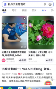 牡丹公主陈雪红（百度截图）
