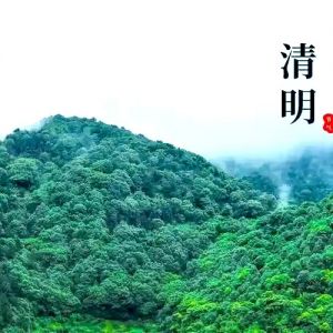 清明祭