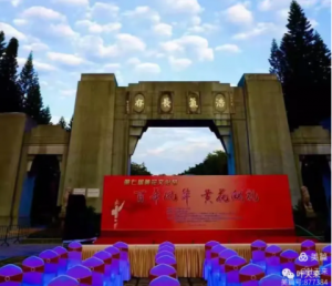 菊花（九月）  