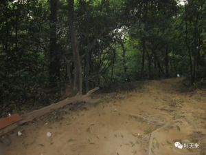 开始下雨