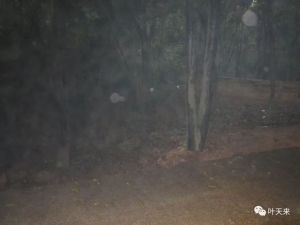 天色越来越腤