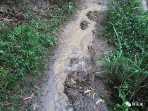 急流断道虫蛇窜