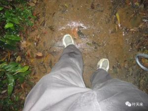冒小雨返回