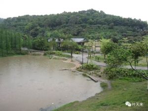 大雷雨过后
