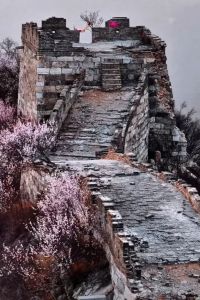配图