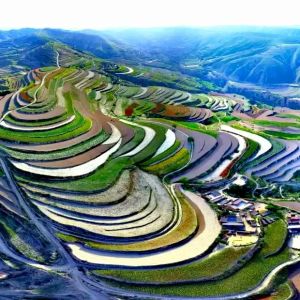 黄土高原