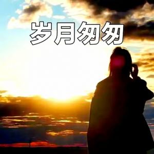 岁月匆匆