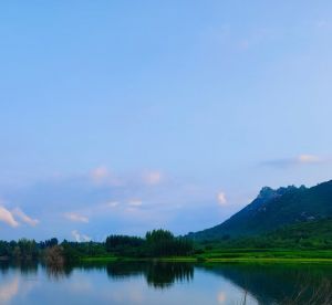 东林山风光