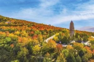美图