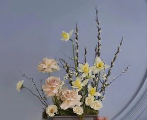花之系列 一一 银柳