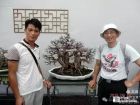园林师书画家列维禧与诗人叶天来在广州中山纪念堂举行亚太盆景奇石展