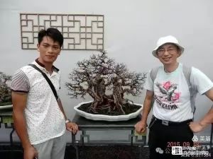 园林师书画家列维禧与诗人叶天来在广州中山纪念堂举行亚太盆景奇石展