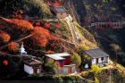 会宁桃花山