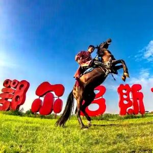 鄂尔多斯大草原