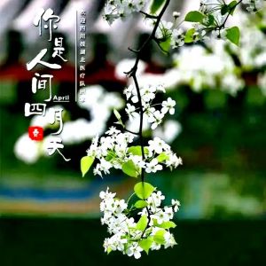 人间四月天
