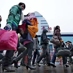 迁徙回家的人