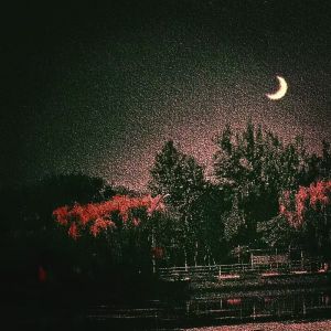 故乡的月牙儿