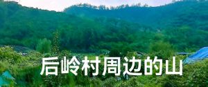后岭村边山