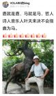 哲人诗人音乐人叶天来
