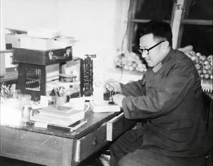 离休照