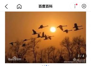 今古绝对