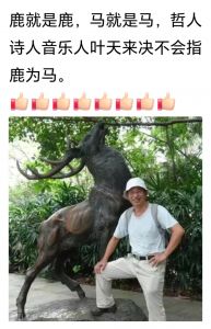 诗人叶天来 诗人叶天来