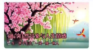 一杏一桃一岁春