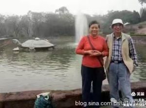 一杏一桃一岁春