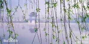 烟锁池塘柳
