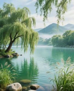 绿水本无忧，因风皱面