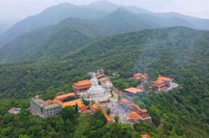 该照已将观音山收尽眼