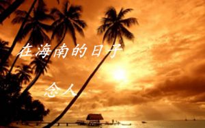 在海南的日子
