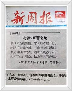 湖北《新周报》